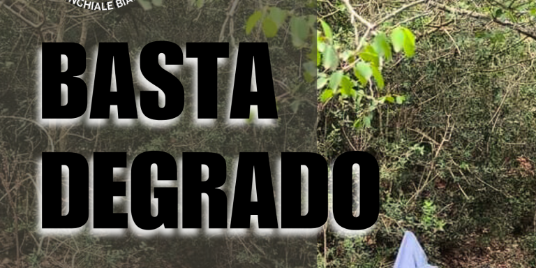 BASTA-DEGRADO_20240630_130233_0000