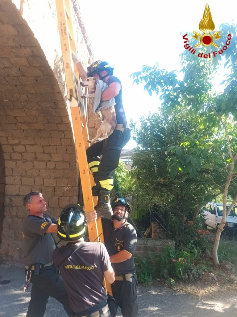 WhatsApp-Image-2024-07-11-at-19.39.23