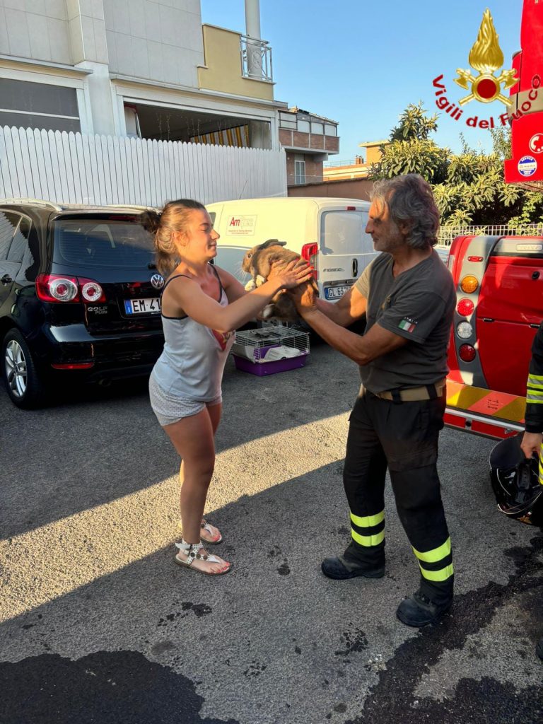 WhatsApp Image 2024-07-19 at 12.08.38