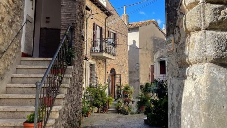 WhatsApp Image 2024-07-25 at 11.48.51