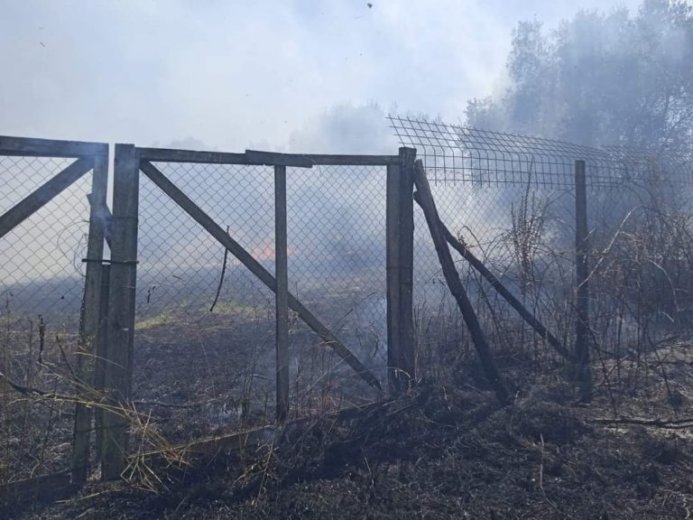 incendio-i-terzi-cerveteri-1