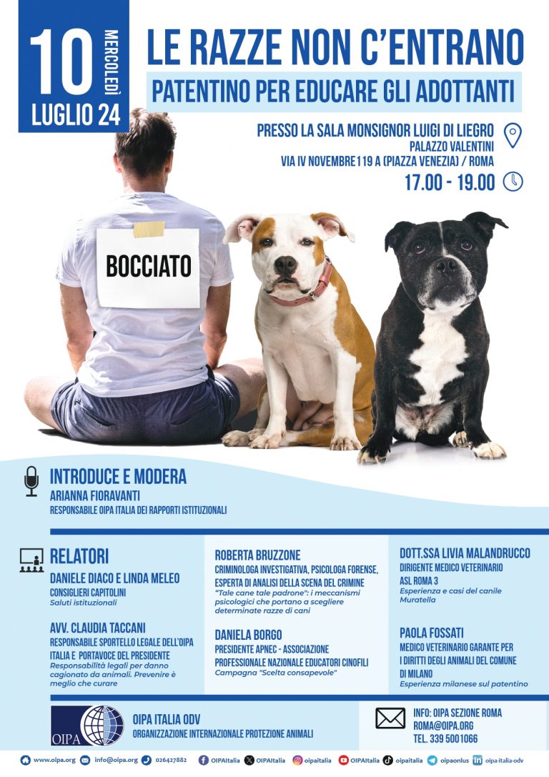 le-razze-non-centrano