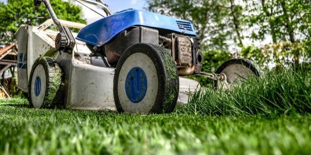 manutenzione verde giardino prato