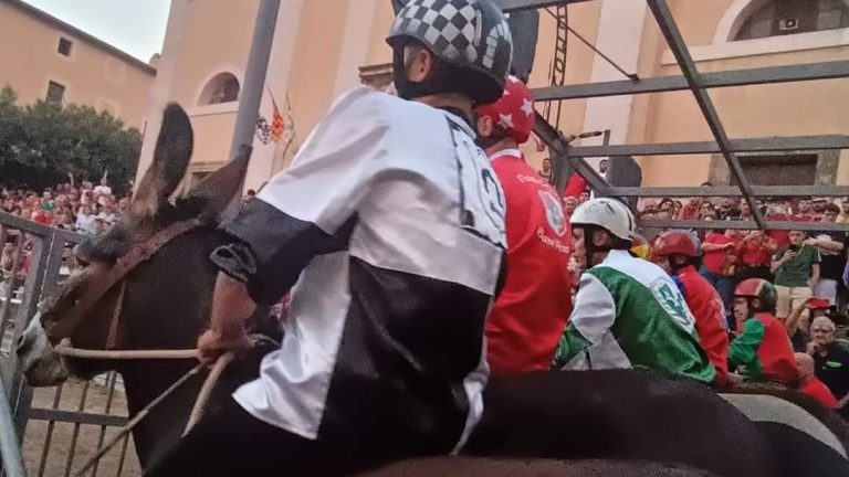 WhatsApp Image 2024-08-26 at 10.02.50