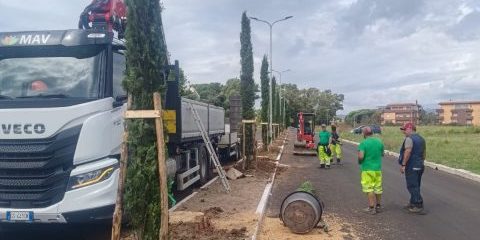 Piantumazioni campo di mare