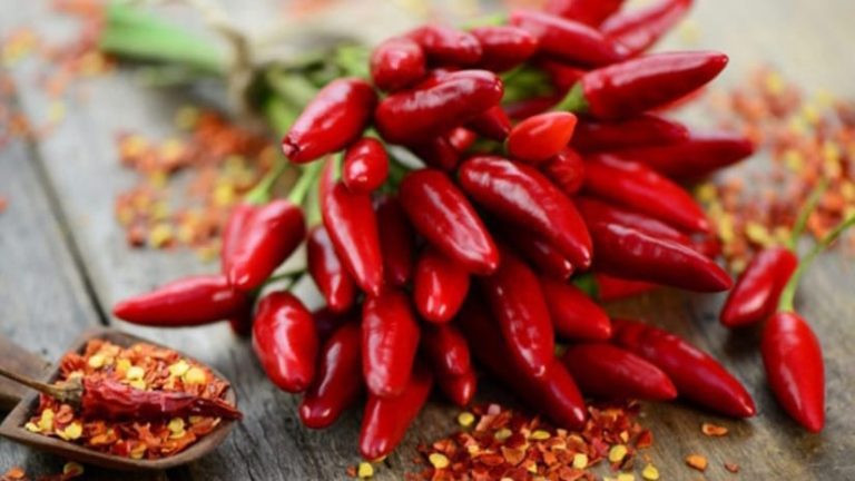 WhatsApp Image 2024-09-18 at 11.48.43