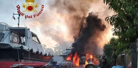 WhatsApp Image 2024-09-24 at 09.29.13