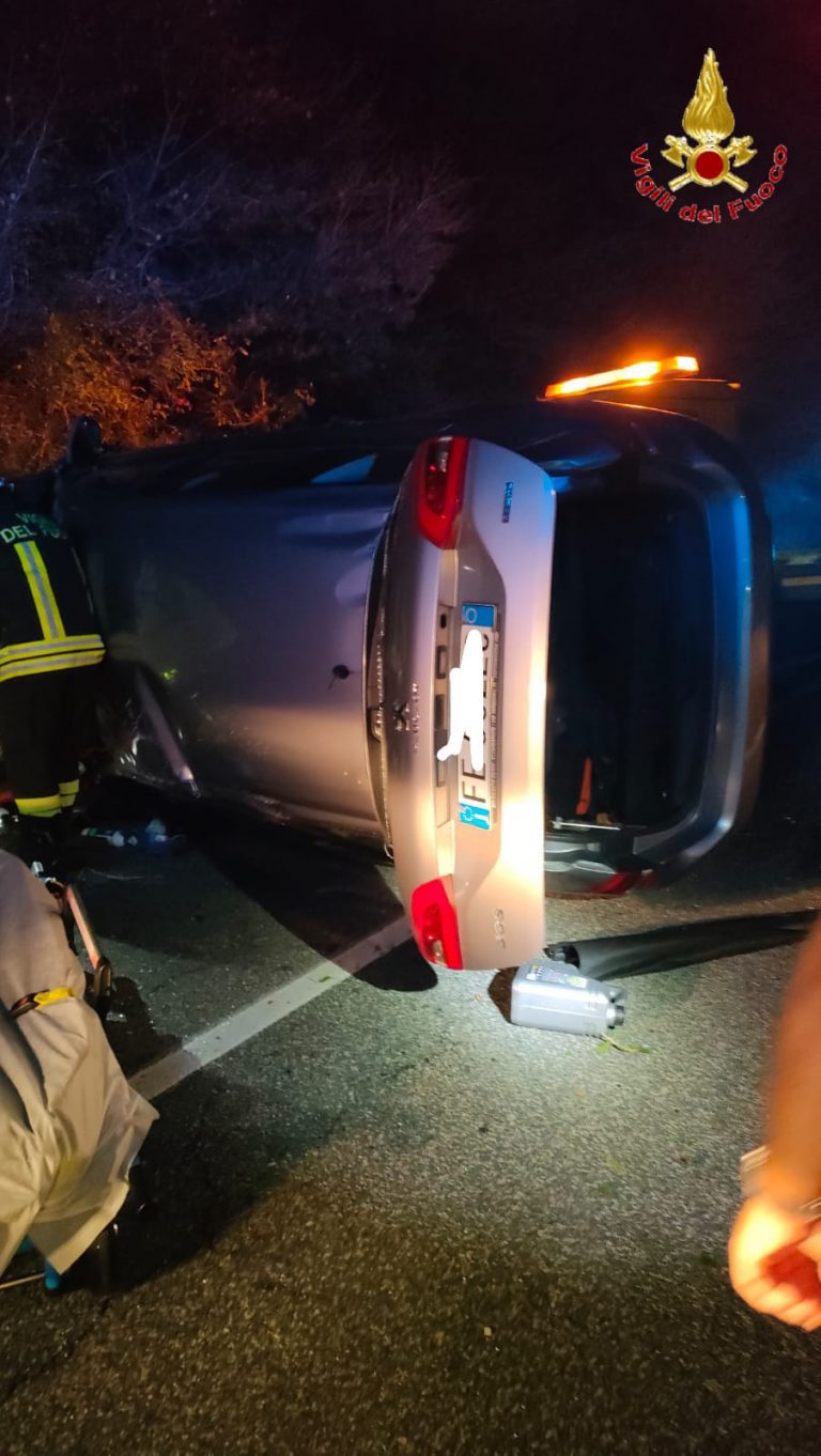 WhatsApp Image 2024-09-27 at 08.57.45 (1)