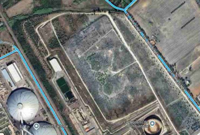 Bosco Enel Civitavecchia, parte la petizione
