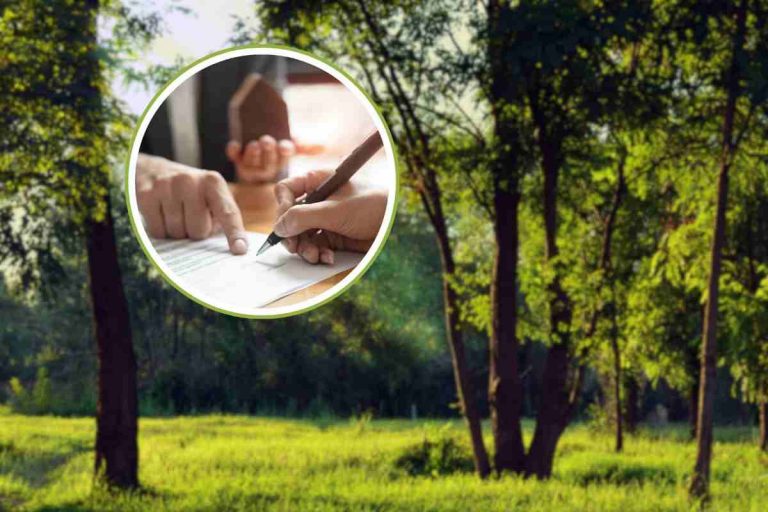 Petizione Bosco Enel a Civitavecchia