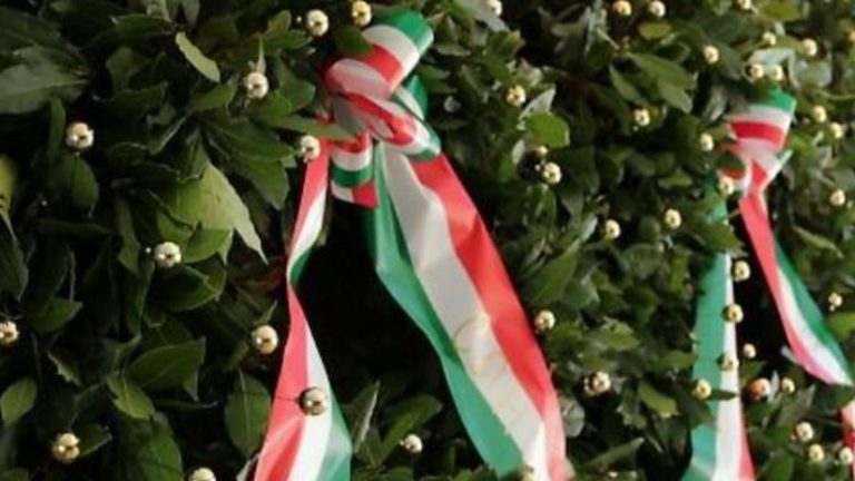 WhatsApp Image 2024-10-28 at 23.42.01