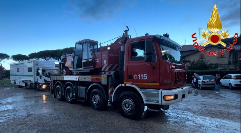 vvf borgata aurelia cv