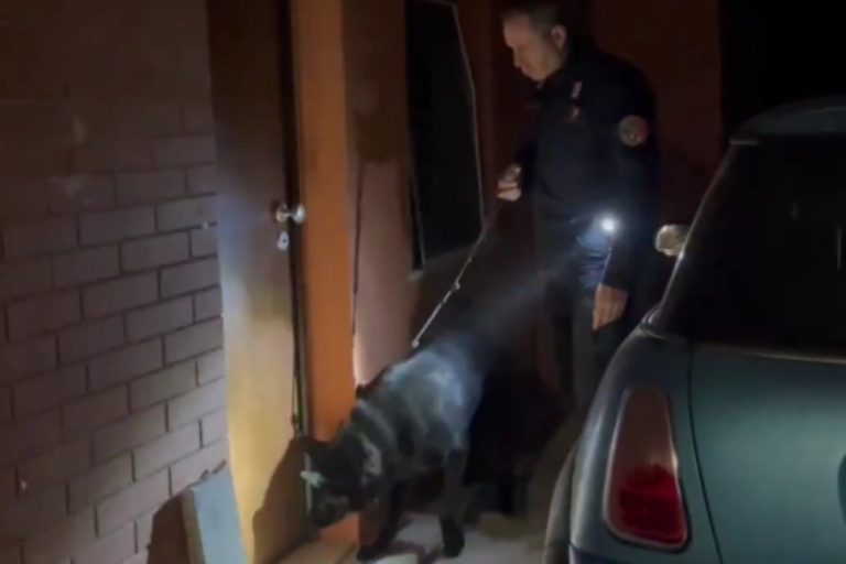 Omicidio, droga e associazione a delinquere a Ostia