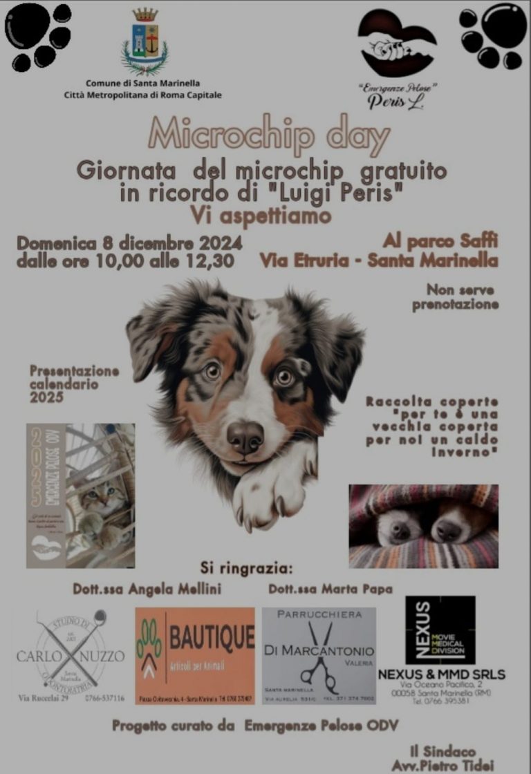 WhatsApp Image 2024-11-29 at 10.16.21