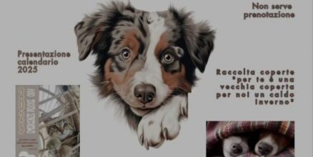 WhatsApp Image 2024-11-29 at 10.16.21