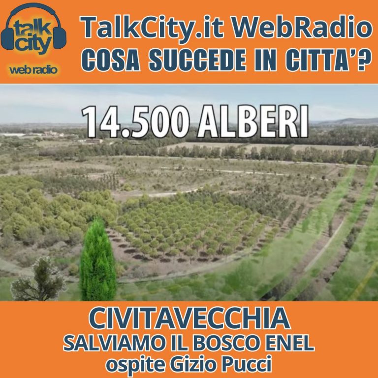 webradio dirette - 2024-11-15T111521.001