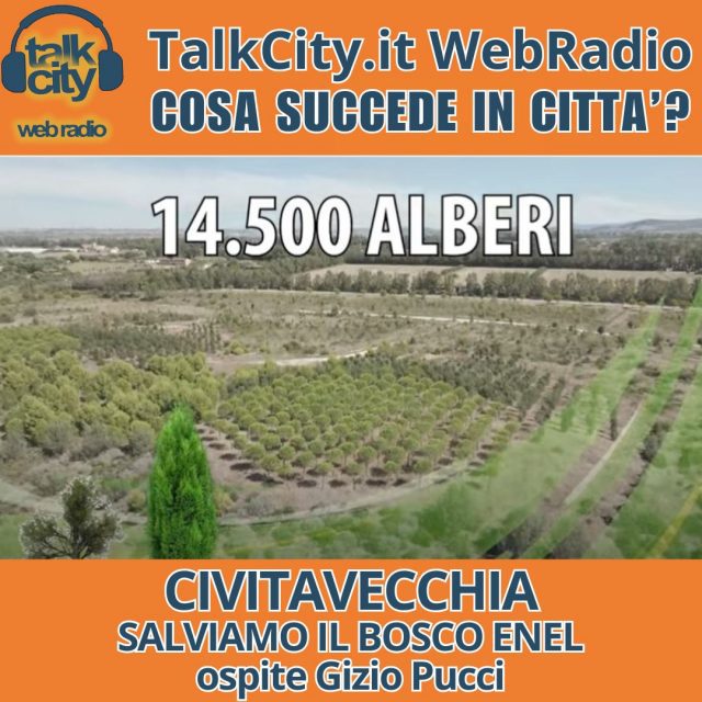 webradio dirette - 2024-11-15T111521.001