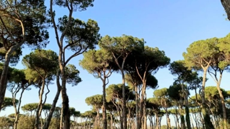 WhatsApp Image 2025-02-18 at 12.42.57