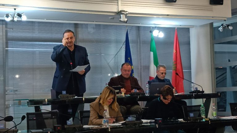 baccini consiglio comunale 2