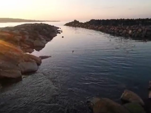 braccio antemurale cv