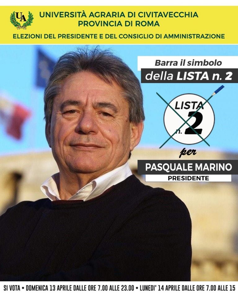 WhatsApp Image 2025-03-28 at 19.37.26