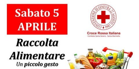 WhatsApp Image 2025-04-03 at 08.11.19