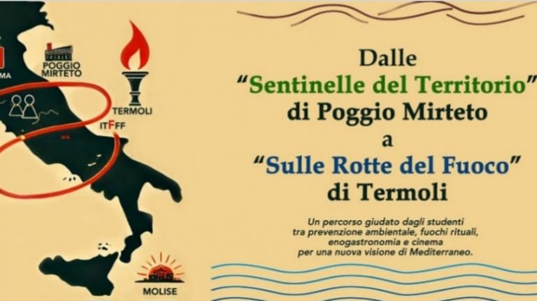 WhatsApp Image 2025-04-09 at 08.39.44