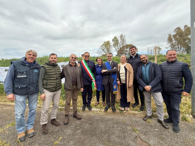 WhatsApp Image 2025-04-10 at 15.21.05