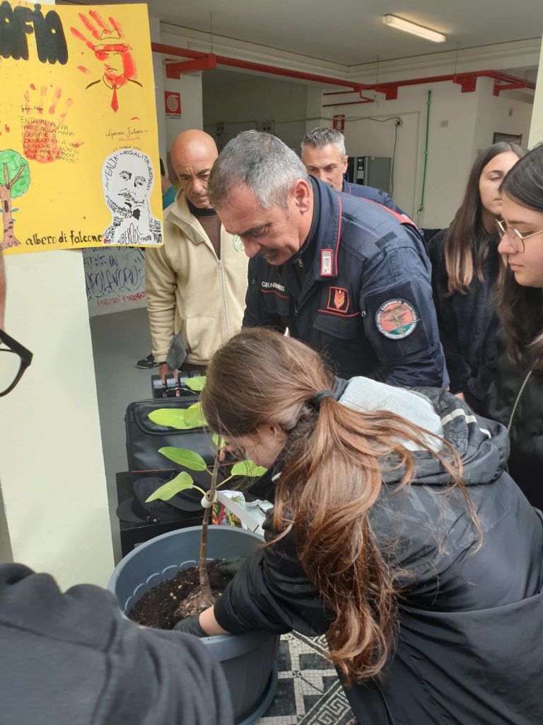 WhatsApp Image 2025-04-14 at 15.33.44