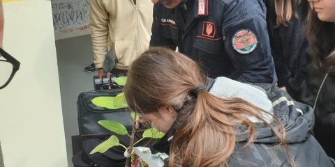 WhatsApp Image 2025-04-14 at 15.33.44