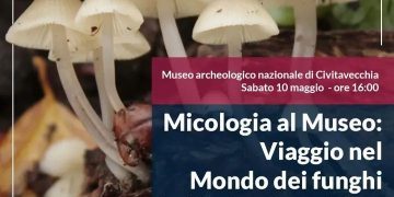 Locandina manc funghi