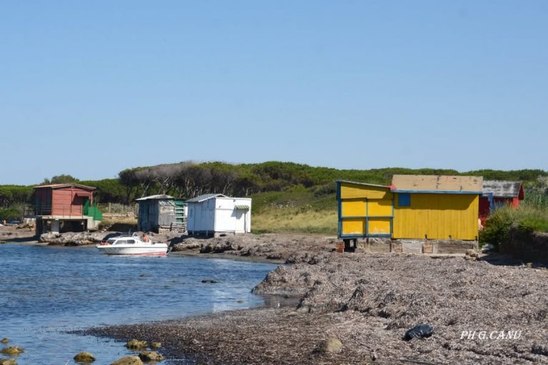 frasca civitavecchia