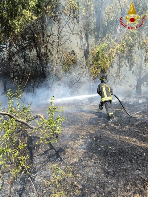 incendio civitavecchia