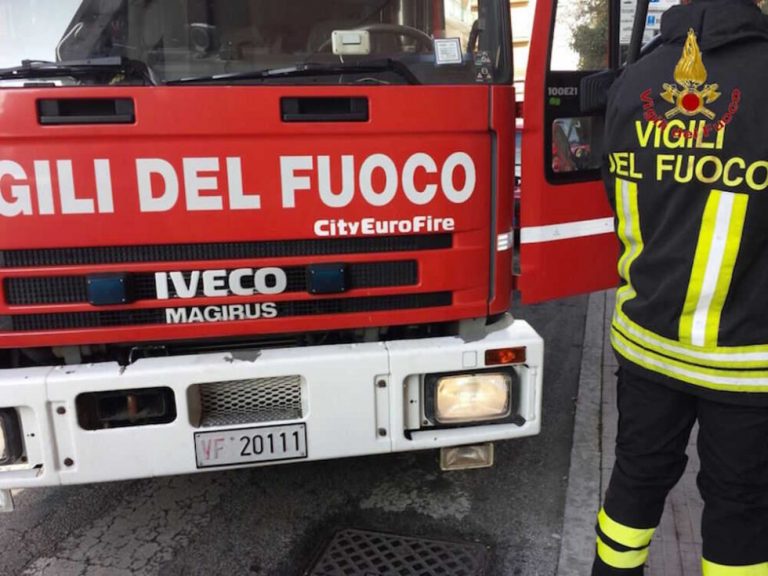 vigili del fuoco cv