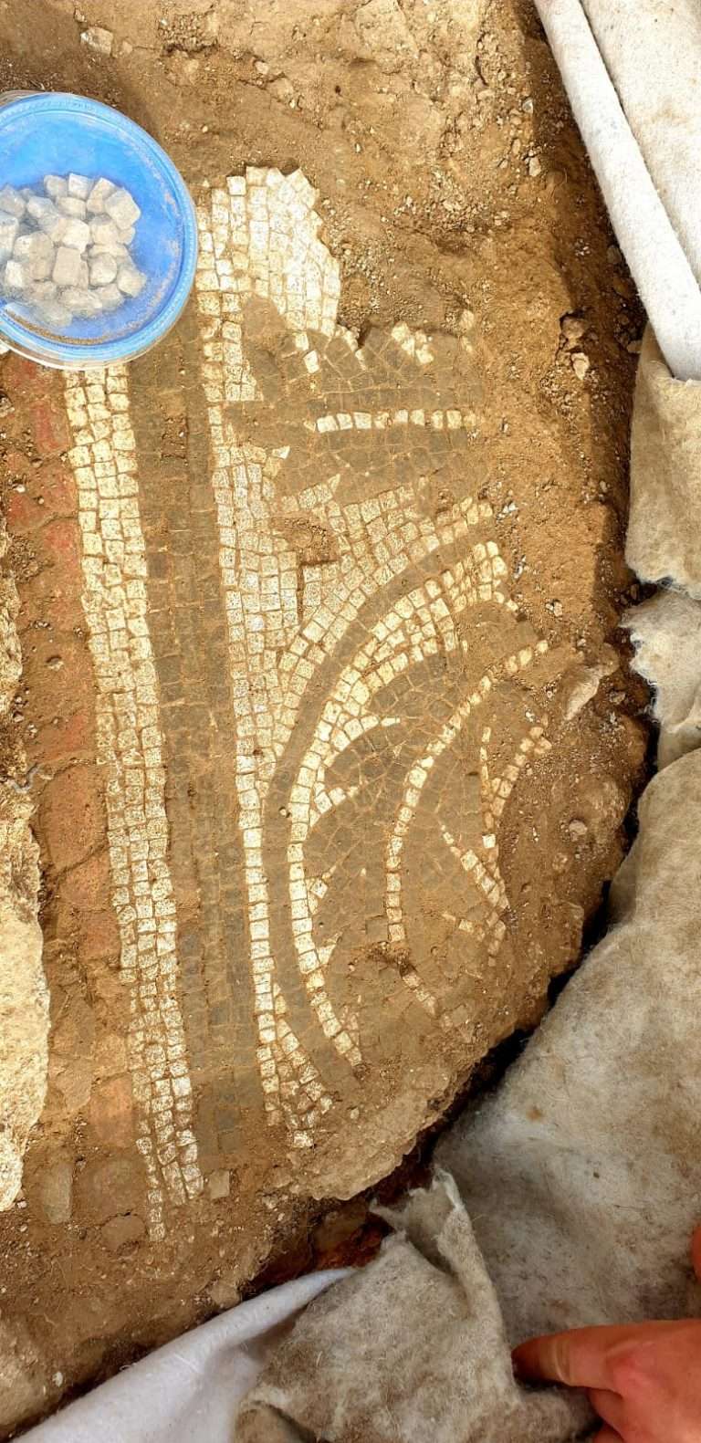 Cerveteri, 40 anni di ricerca archeologica del Cnr
