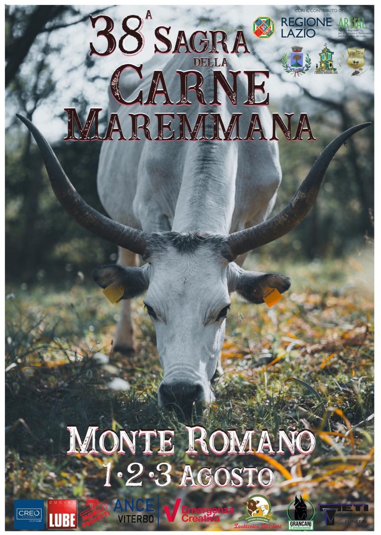 monte romano locandina