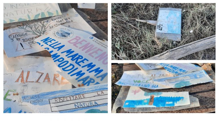 scuolambiente vandali