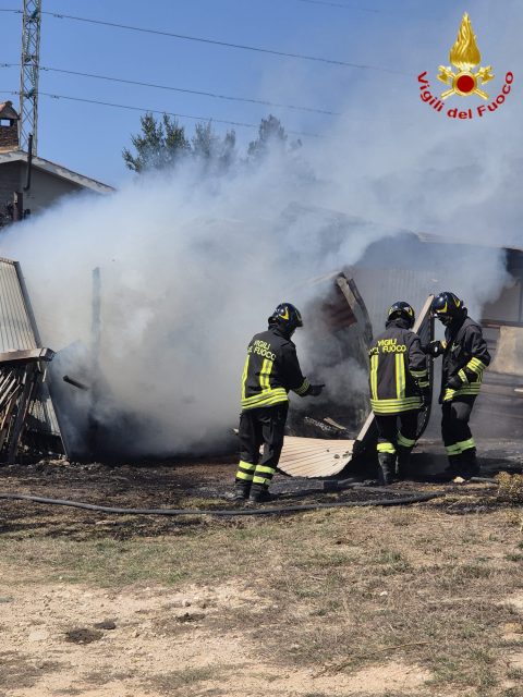 Tolfa Incendio Tolfa Incendio