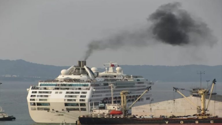 WhatsApp Image 2025-09-11 at 11.03.26