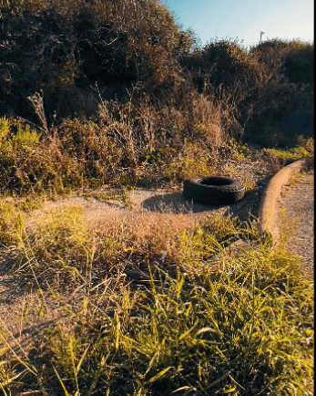 entrata castrum novum