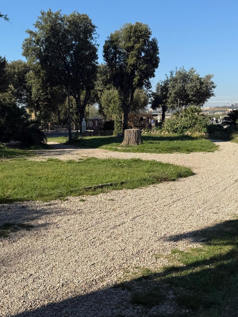 WhatsApp Image 2025-10-14 at 10.19.26 (2)