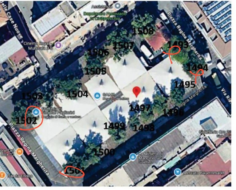 alberi segnati MERCATO CV