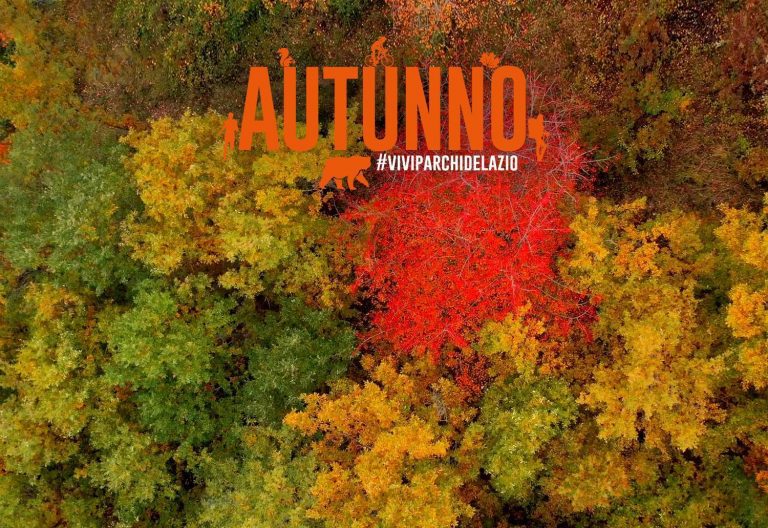copertina_autunno_2025_parchilazio_foliage
