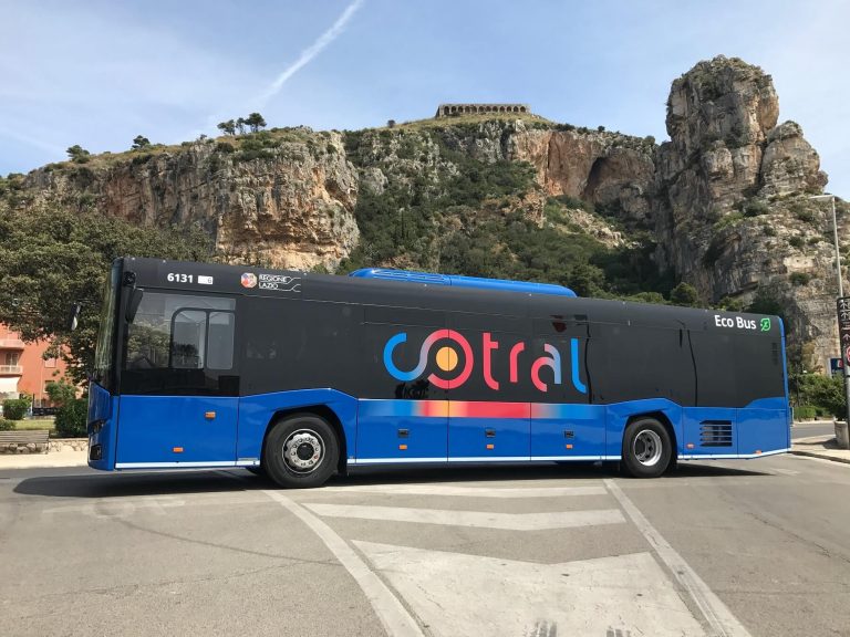 cotral bus