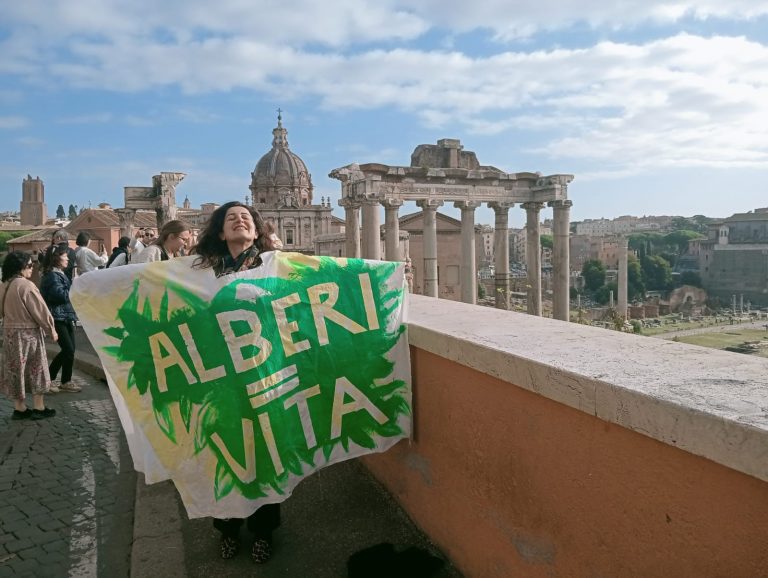 jacopa stinchelli alberi vita