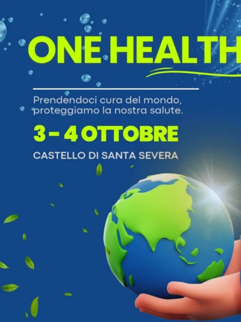 onehealth santa severa