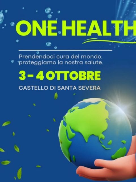 onehealth santa severa