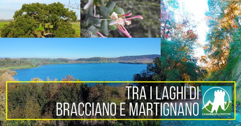 561349848_1310385474457819_5265184852742022430_n