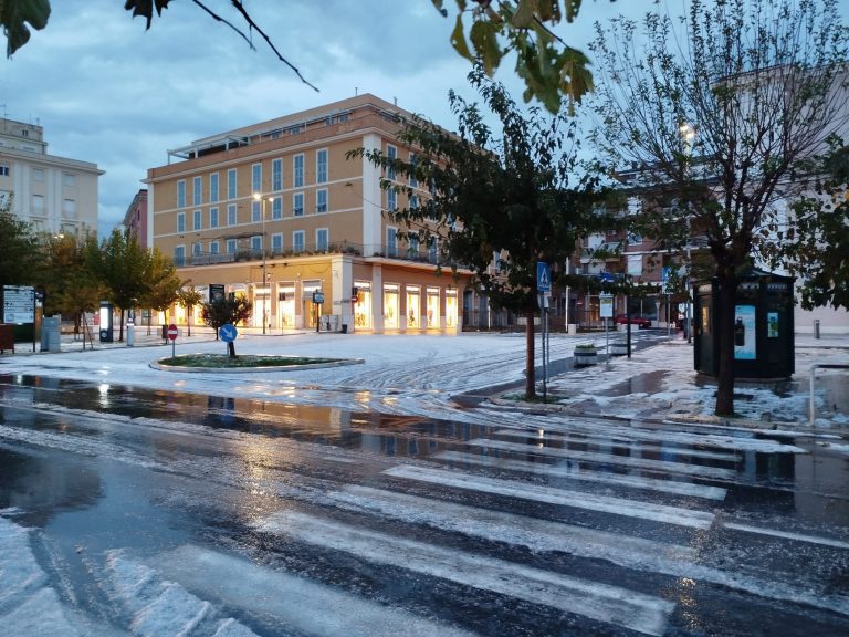 WhatsApp Image 2025-11-26 at 07.31.34