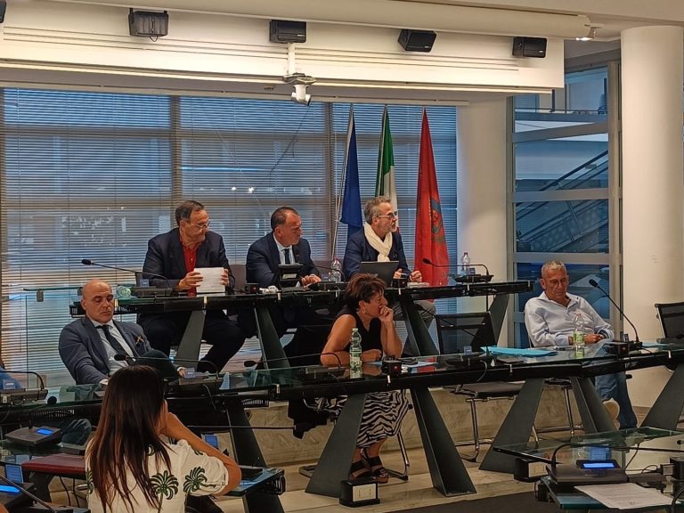 consiglio comunale fiumicino 29 luglio 2025